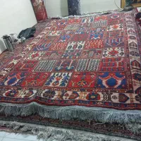 ۱۵ تخته فرش ۶ و ۱۲ متری دستباف بختیاری