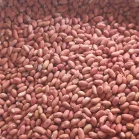 بادام خوش طعم درجه۱|خوردنی و آشامیدنی|اسلام‌شهر, شهرک سعیدیه|دیوار