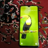 گوشی سامسونگ m13 5G|موبایل|خمینی‌شهر, |دیوار