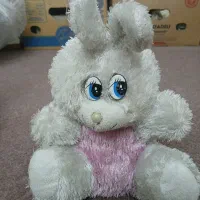 عروسک کارکرده ولی سالم|اسباببازی بچه|آران و بیدگل, |دیوار