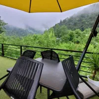 اجاره کلبه سویدی وسط جنگل باویو رویایی کد (۶۰)