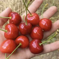 باسلام یک خانه ویلایی به فروش می‌رسد|فروش خانه و ویلا|مشگین شهر, |دیوار