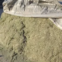یونجه درجه 1
