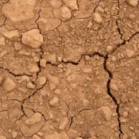 زمین-محرومین-200-متری-پلاک-11