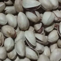 پسته درجه یک از تولید به مصرف|عمده‌فروشی|تهران, هروی|دیوار