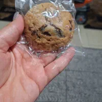 سفارش انواع کوکی ها پذیرفته میشود