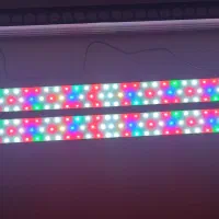 لامپ ال ای دی رنگی آکواریوم