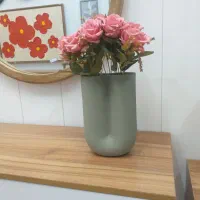 شناسنامه گمشده