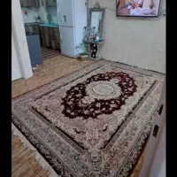 67-متر-طبقه-4-5