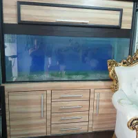 اکواریوم بزرگ