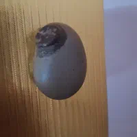 سنگ خیلی خیلی قدیمی|بدلیجات|ری, علایین|دیوار