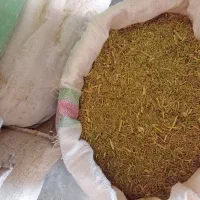 خارشتری نرم