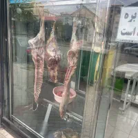 یخچال برای قصابی درحد تمام استیل|یخچال و فریزر|آستارا, |دیوار