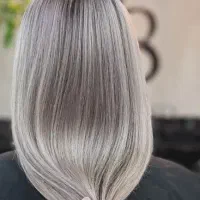 نیاز به مدل برای صافی و احیا