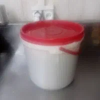 سطل سسی