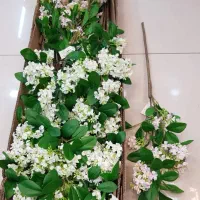 گلدان گل لاکچری ، گل‌های خاص ماندگار