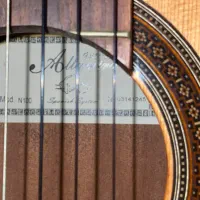 گیتار آلتامیرا N100