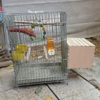 قفس و درخت استراحت