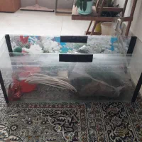 اکواریوم سالم شیشه ۳میل
