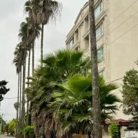 700-متر-زمین-دونبش-ساخت-برج-باغ