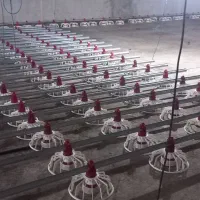 لوازم مرغداری