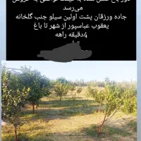 باغ کوچک ونقلی
