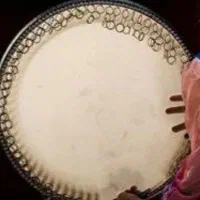 دف.دف