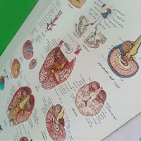 طراحی آلبوم ، قاب عکس ، شاسی کلی|تابلو، نقاشی، عکس|مشهد, چهارچشمه|دیوار