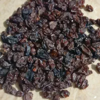 فروش مویز تاره