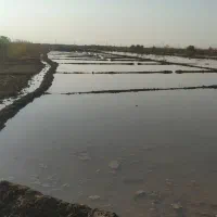 زمین تجاری