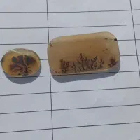 شجر قائن|جواهرات|خمینی‌شهر, |دیوار