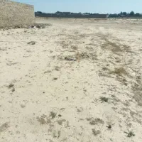 ۲۸۰۰متر زمین مناسب باغ و باغچه