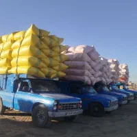 کاه گندم یونجه هرچند تن خواستین در خدمتم