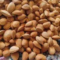 بادام درختی|خوردنی و آشامیدنی|جیرفت, |دیوار