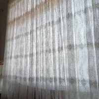 همخونه خانم