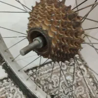 رینگ دوچرخه|دوچرخه، اسکیت، اسکوتر|تربت جام, میان جام|دیوار