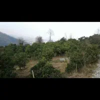 راهنمایی بفرمایید