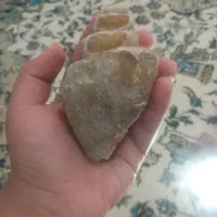 فسیل ۲هزارساله