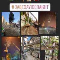 جابجایی درختان با تیم متخصص پیمانکارشهرداری تهران