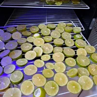 دستگاه میوه و سبزی خشک کن خانگی هوشمند تراشه پرداز|سایر لوازم برقی|مشهد, عیدگاه|دیوار