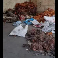 ضایعات همشهری بصورت کلی و جزئی درب منزلتان|عمده‌فروشی|بروجرد, |دیوار