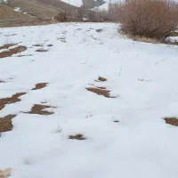 زمین-کشاورزی-جاده-جدید-سنندج-مریوان