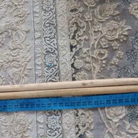 لوازم پرنده|لوازم جانبی حیوانات|قم, بنیاد|دیوار