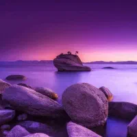 راهنمایی کنید