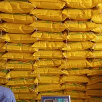 برنج عنبربو دانه بلند|خوردنی و آشامیدنی|شادگان, |دیوار