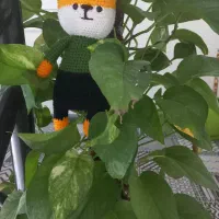 یک دوست بافتنی پیدا کن