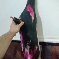 پوست نی انبان