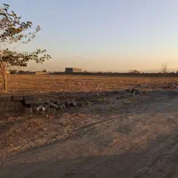 زمین-مزروعی