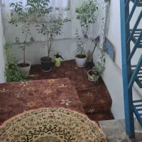 زمین خاک مرعوب جهت باغ