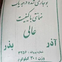 بذر یونجه